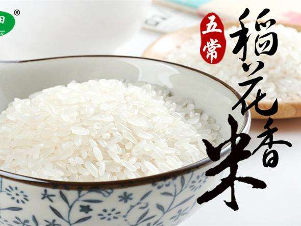 大米